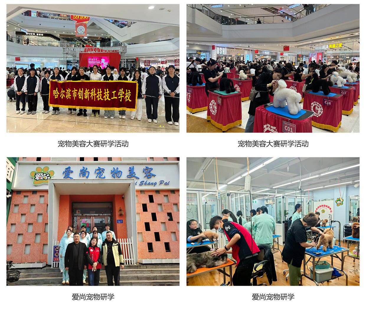 1775096895252412.jpg 单招_0116.jpg